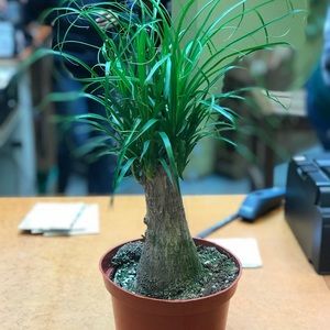 Meet your Posher, Dia